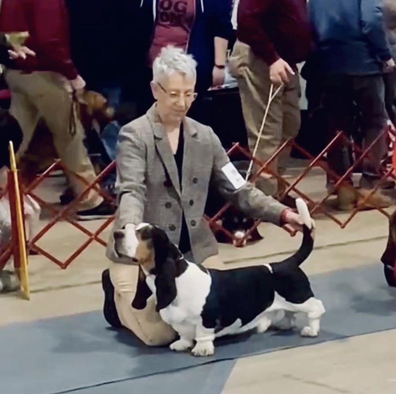 An older woman with short white hair and glasses kneels on the floor, holding a black and white puppy, at a dog show event. She is wearing a gray plaid blazer and beige pants. Several people walk past in the background, behind a red barrier.