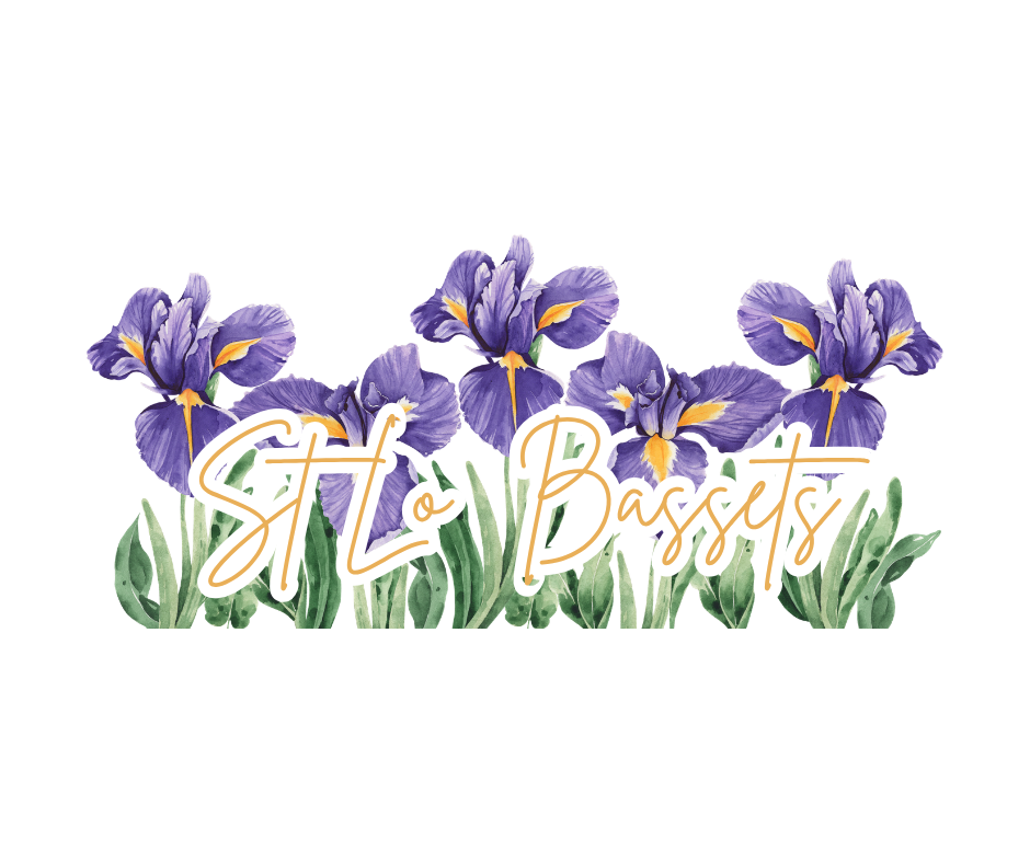 Watercolor illustration of purple irises with green leaves, overlaid with the text 'Stolen Hounds' in script font.