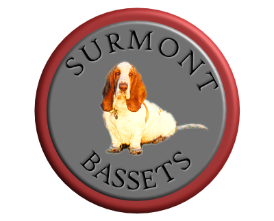 Surmont 