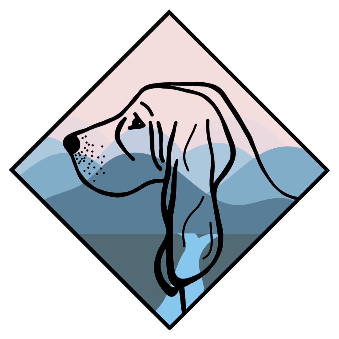 Potomac Basset Hound Club Logo