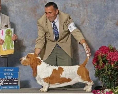 A man at a dog show with a Basset Hound, which is standing on a table with a blue sign that reads 'Reserve Best in Show'. The man is wearing a tan blazer, blue tie, and gray pants, handling the dog. There are colorful flowers on the right.