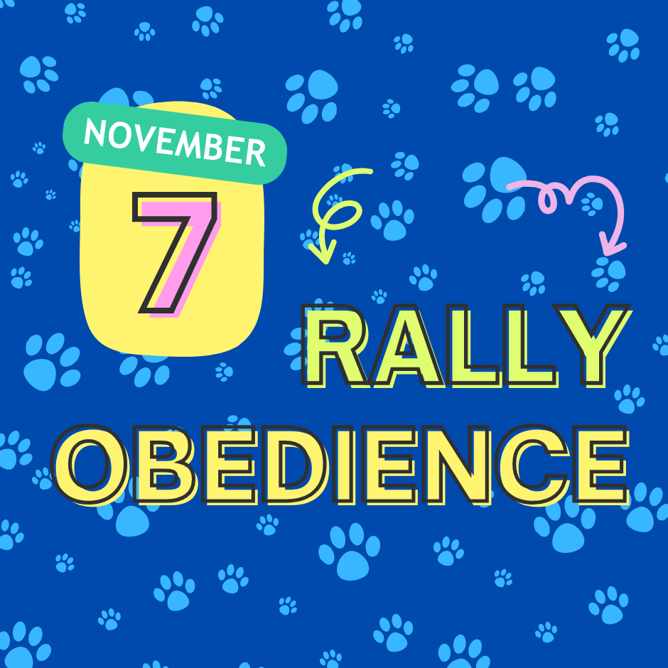A colorful announcement for the November 7 Rally Obedience event featuring title text with a playful paw print background.