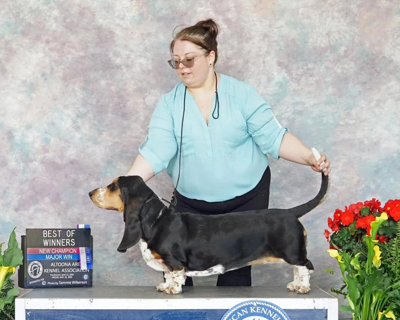 A woman with glasses and a ponytail wearing a light blue shirt stands behind a black and tan basset hound on a table, posing at a dog show with award ribbons, a sign, and red, yellow, and green flowers.