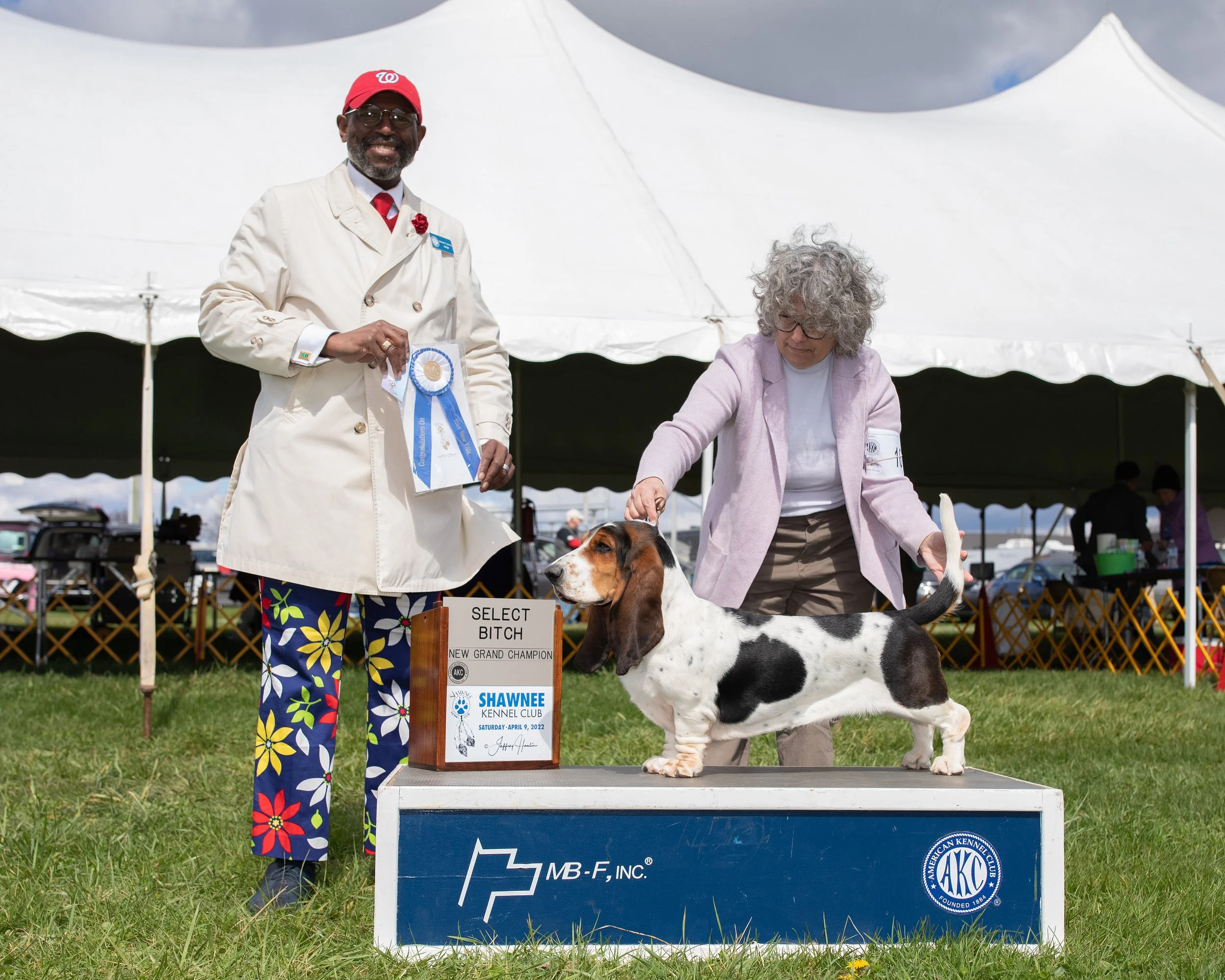 A man in a cream coat and red cap is holding a blue ribbon at a dog show, standing next to a large Beagle dog on a table. An older woman with curly gray hair and glasses is standing beside the dog, which is positioned in front of a sign that reads 'SELECT BITCH, NEW GRAND CHAMPION.' There are tents and people in the background at an outdoor event.