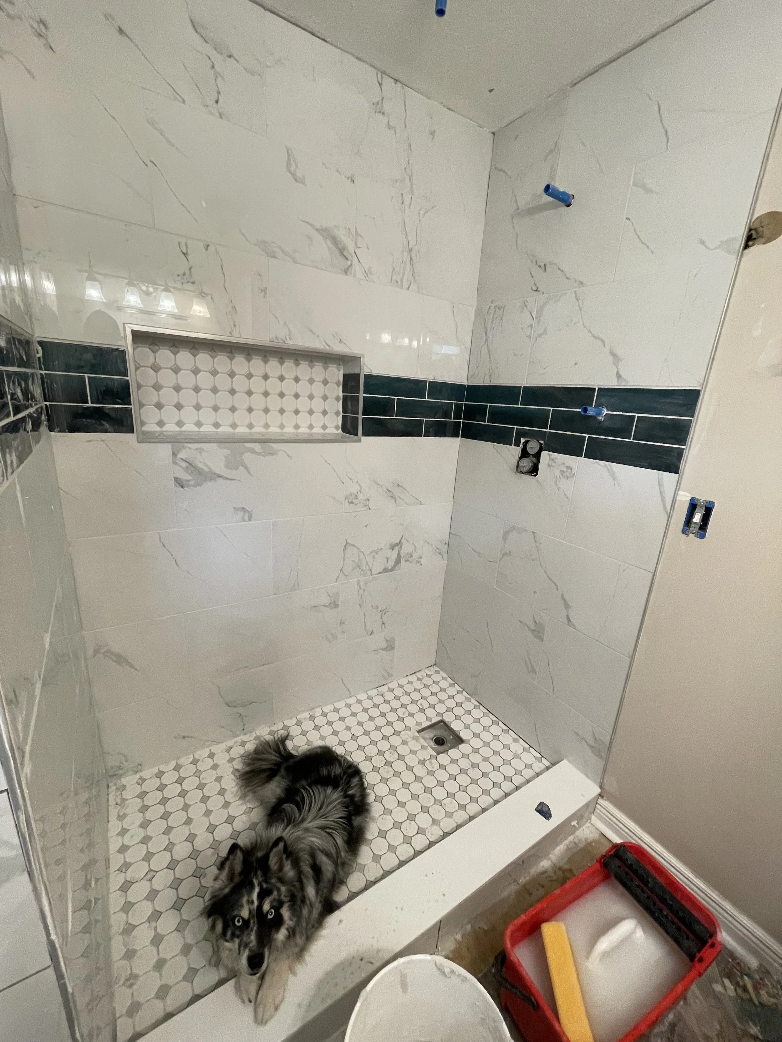 A small dog with gray, black, and white fur lies inside an unfinished tiled shower area, which has white marble tiles on the walls, a horizontal strip of dark green tiles, and small hexagonal white tiles on the floor. There are blue fixtures for a sh