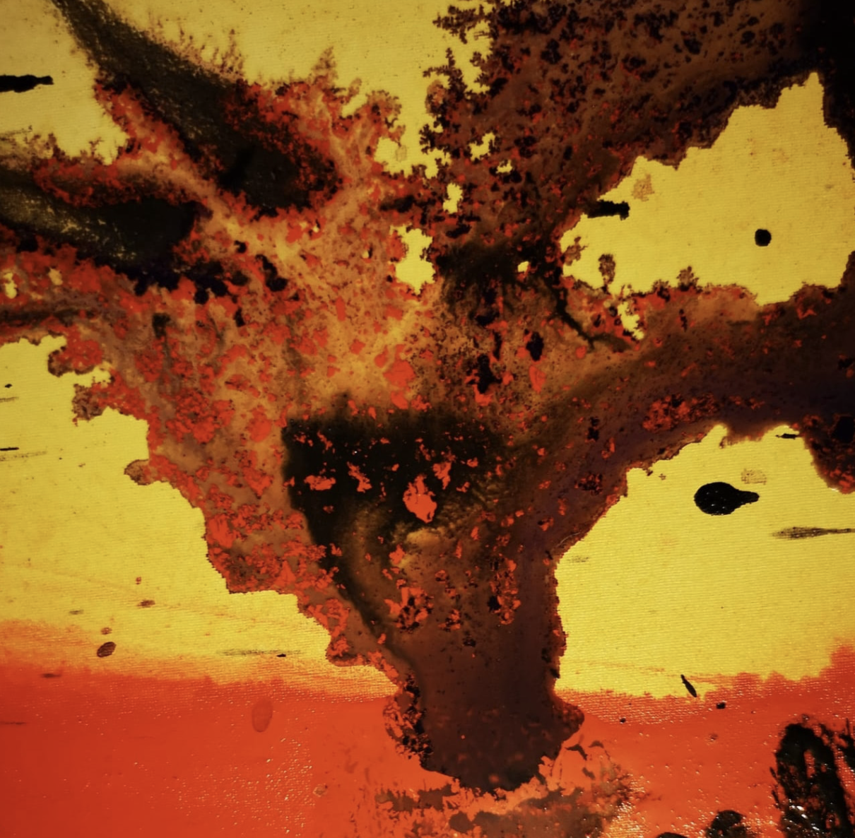 Un'immagine astratta che richiama una scena di un'esplosione o un frutto esploso con colori caldi