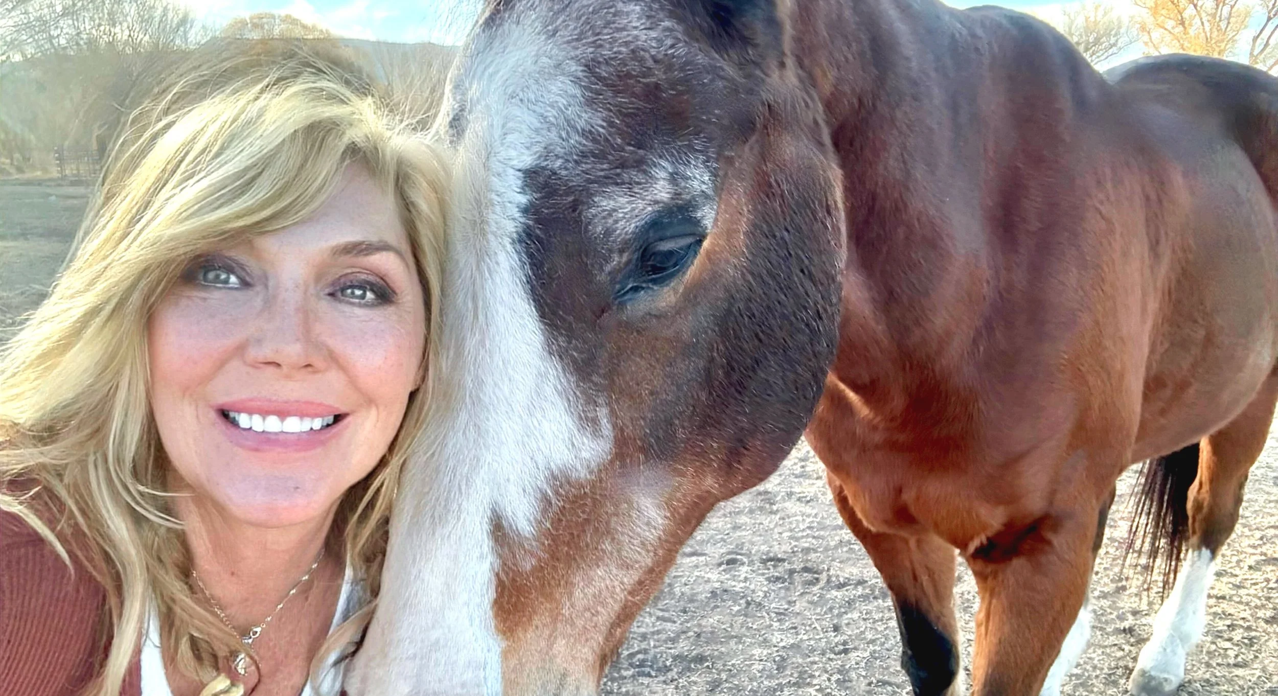 The Horse-Human Heart Bond