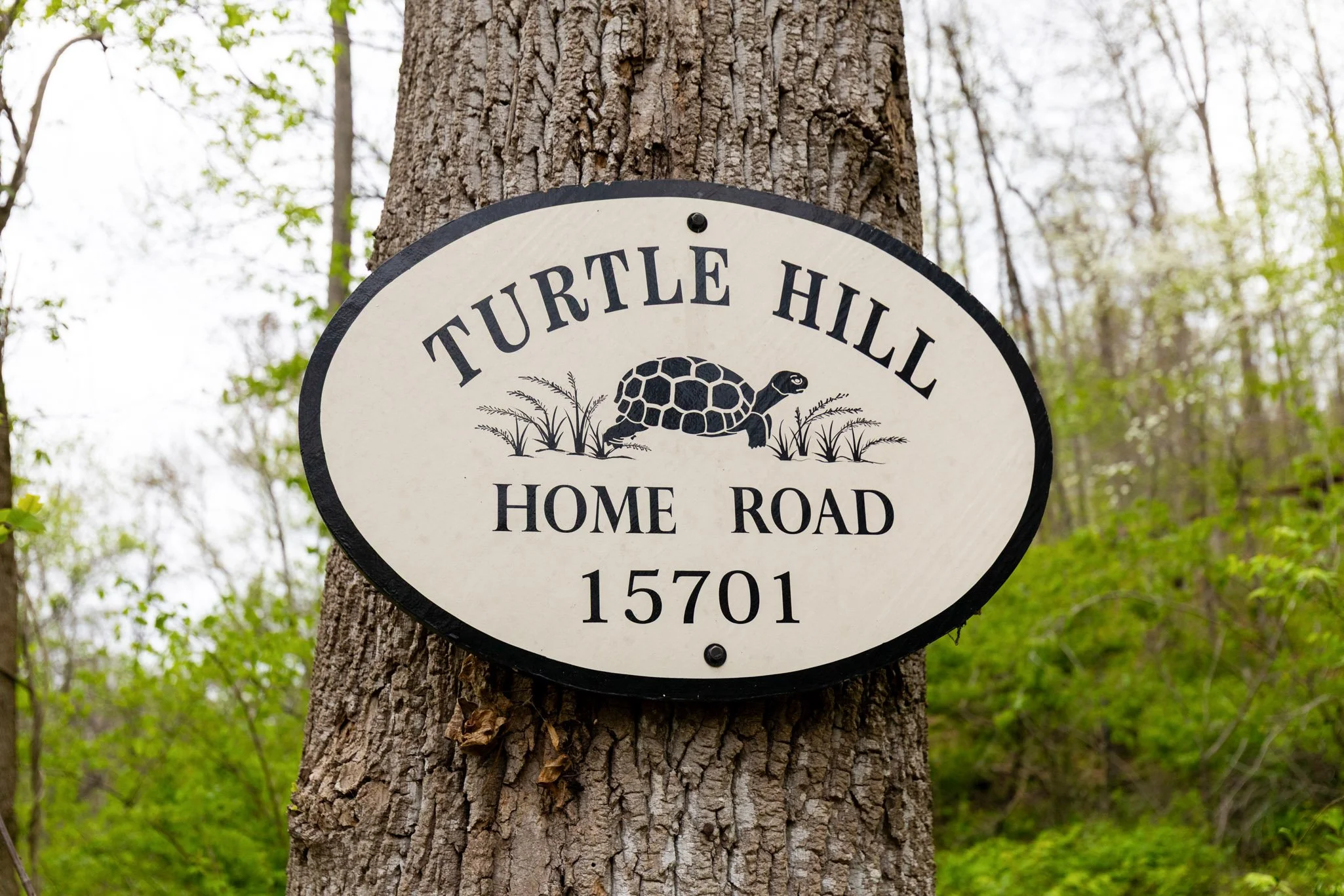 MLS (108 of 110).jpg