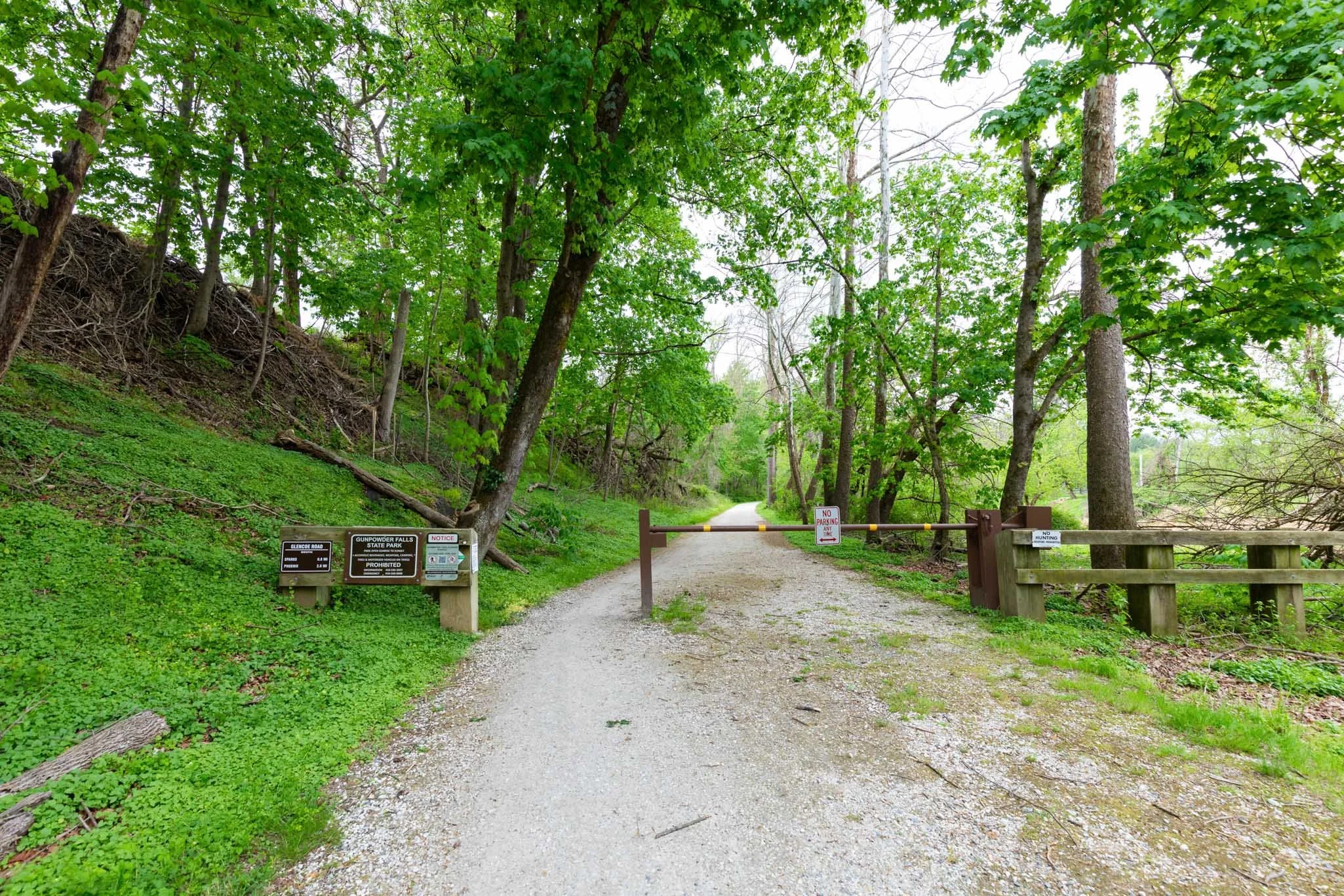 MLS (109 of 110).jpg