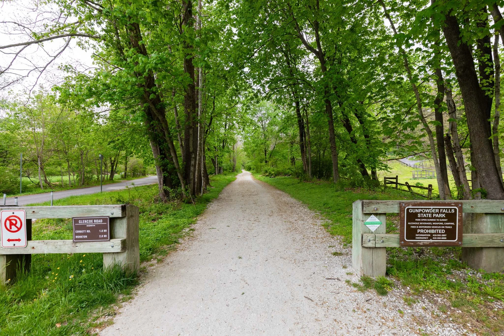 MLS (110 of 110).jpg