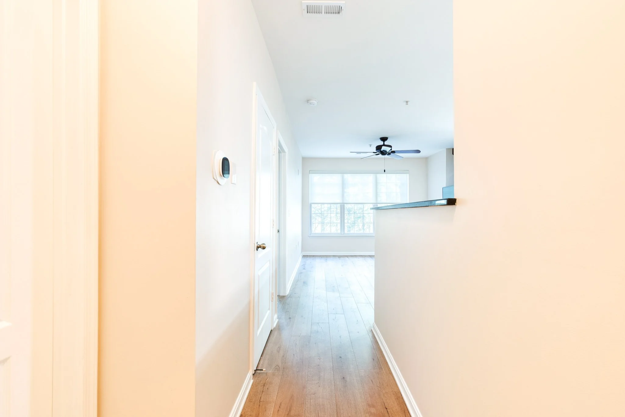 MLS (1 of 29).jpg