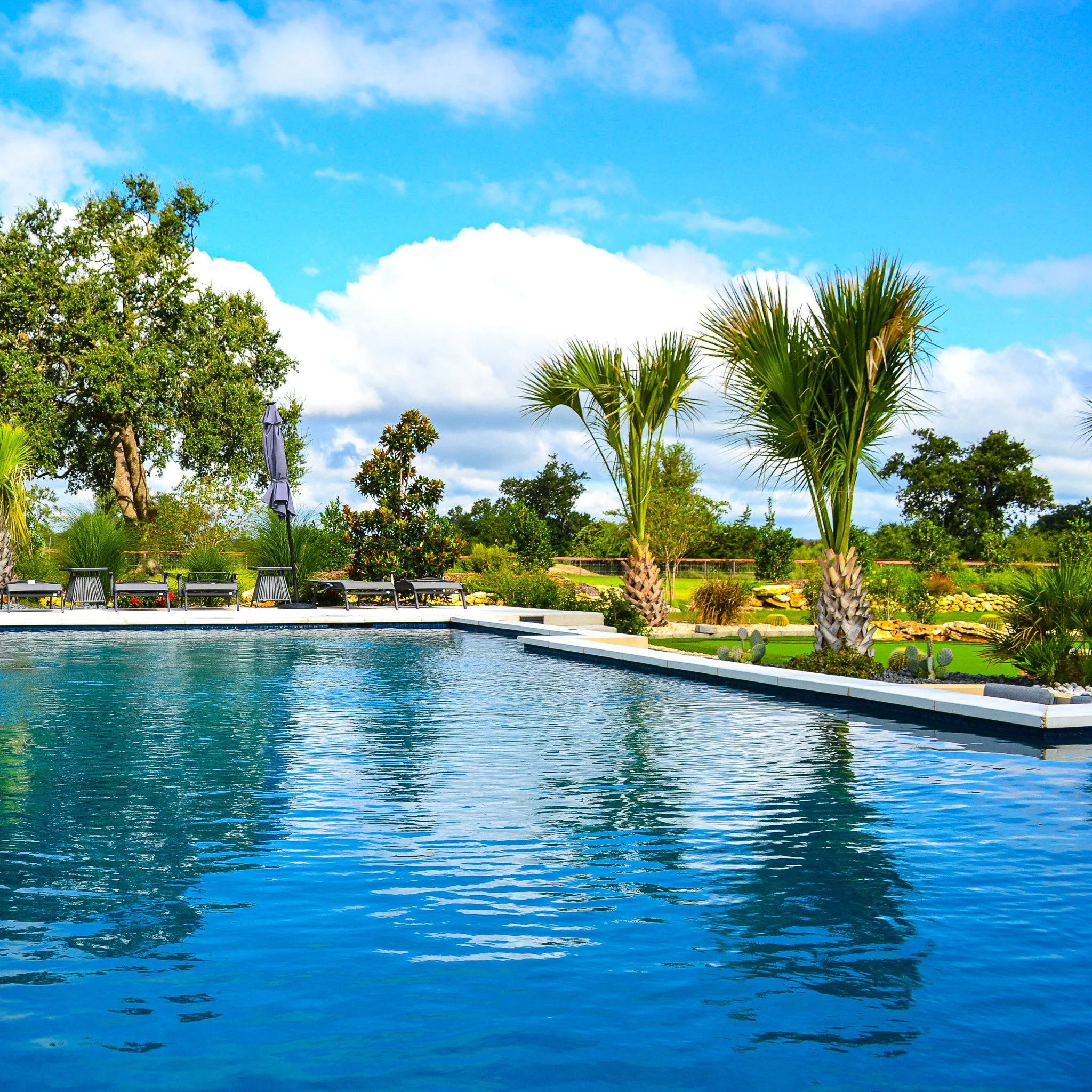 A swimming pool surrounded by palm trees and lounge chairs under a blue sky with clouds.