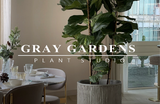 Interior of a modern living or dining room with a large potted fiddle leaf fig plant, a round dining table set with glasses and dishes, and a sliding glass door with a balcony view.