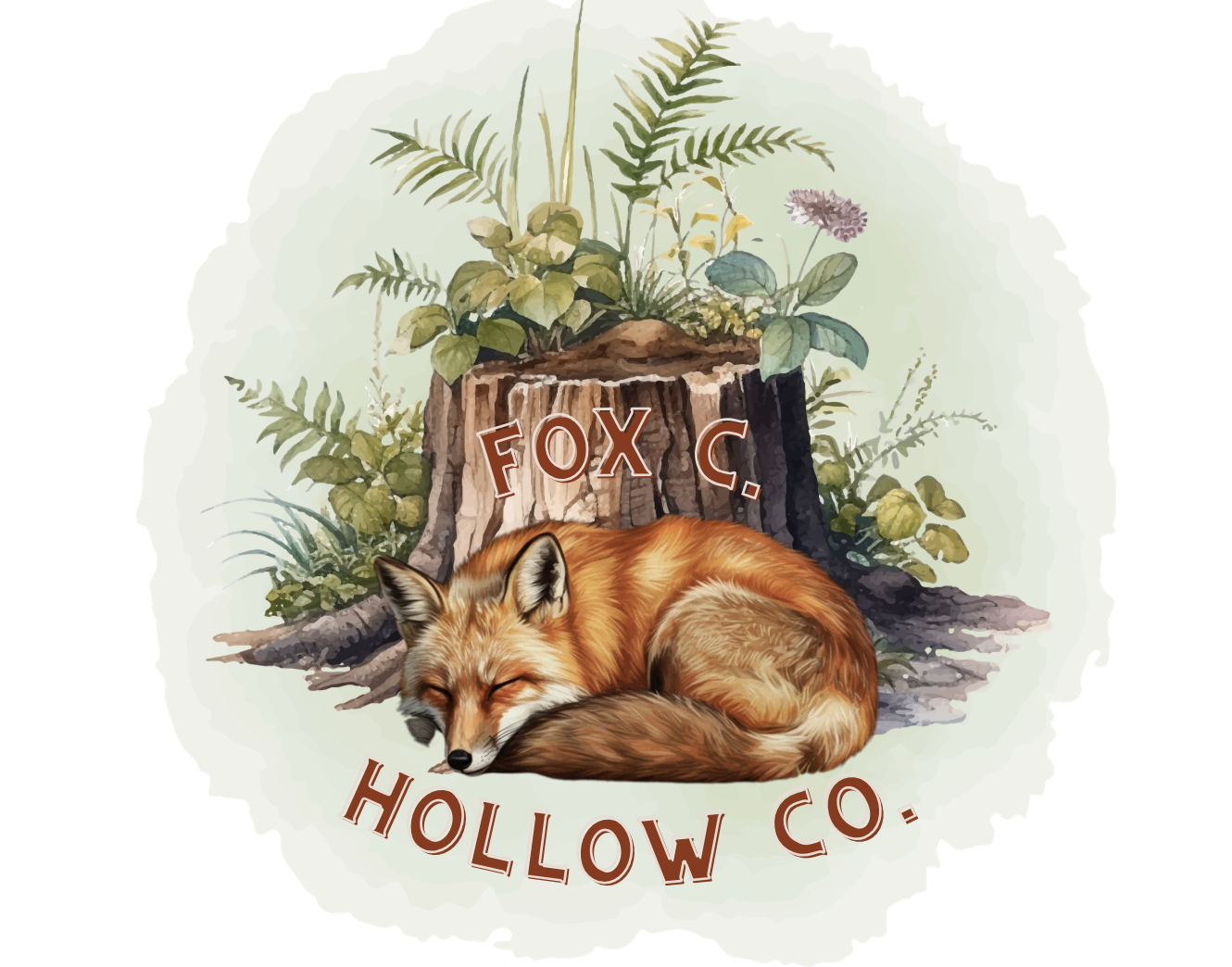 Illustration of a fox curled up sleeping in front of a tree stump with green foliage and a purple flower, with text reading 'FOX C. HOLLOW CO.'