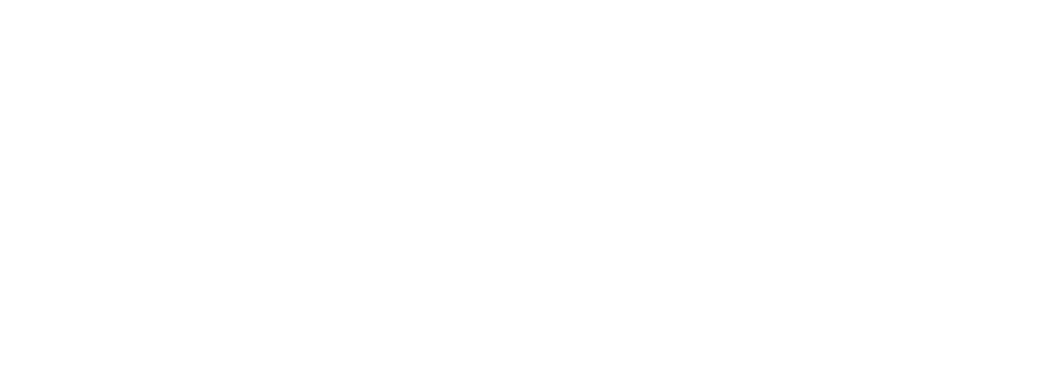 Empire Risk Management Services