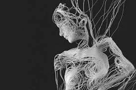 Fascia: The Secret System That Might Be Behind Your Stiffness, Pain, and “Holding Patterns”