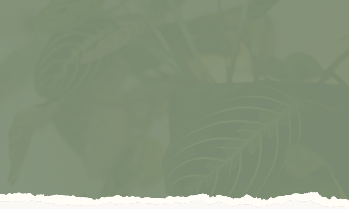 A blurred background of green leaves.