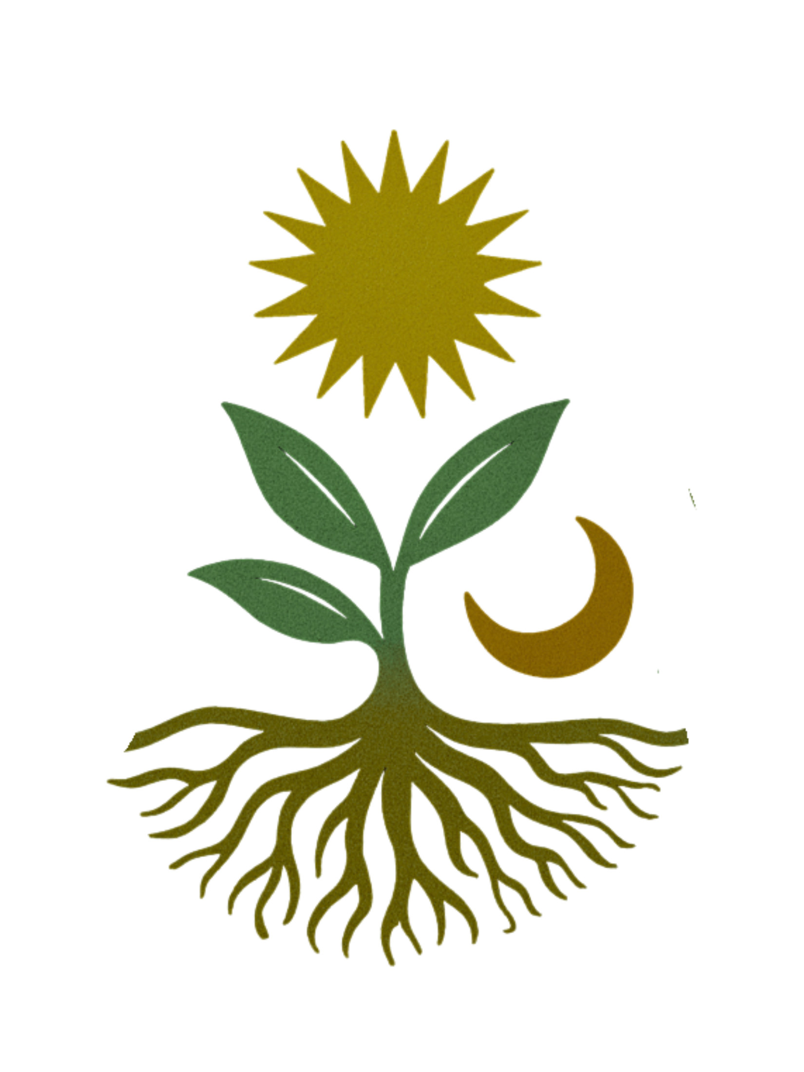 Illustration of a sunflower with roots; the sunflower has a yellow flower, green leaves, and a brown stem and roots.