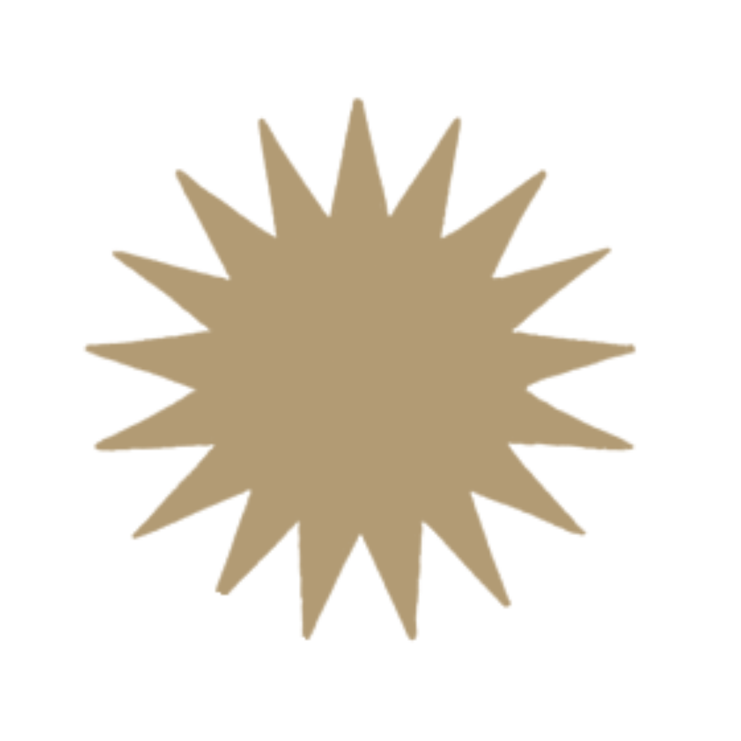 A brown star burst illustration.