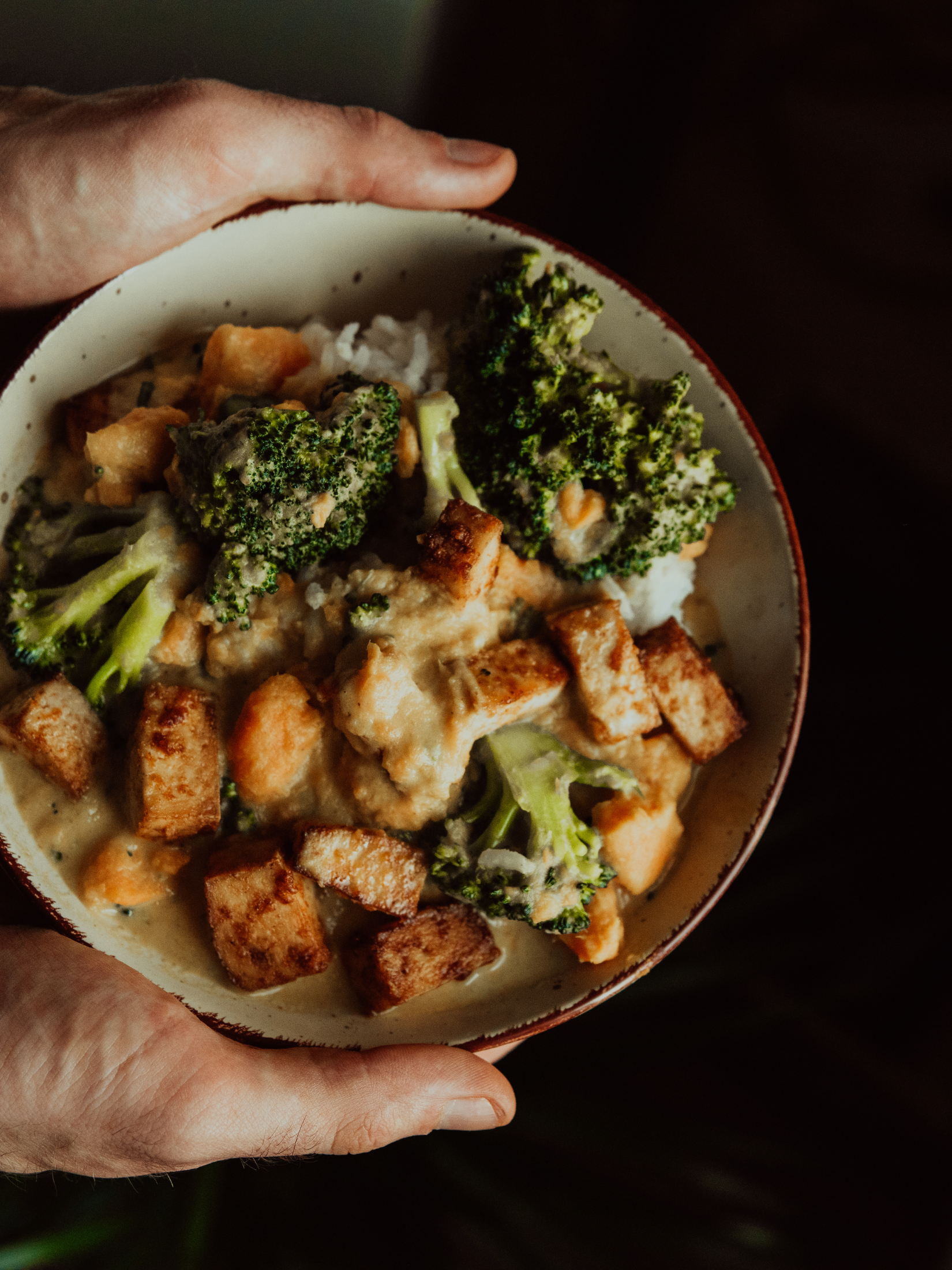 A hand holding a bowl filled with broccoli, grilled chicken, and rice in a creamy sauce.