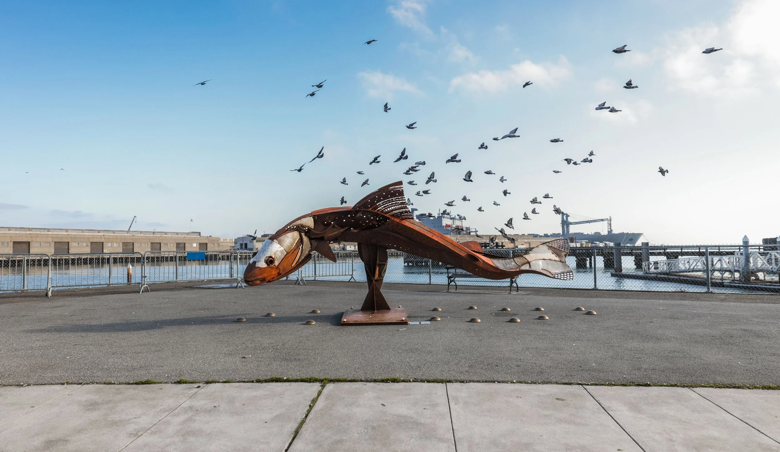 Steelhead structure in san francisco