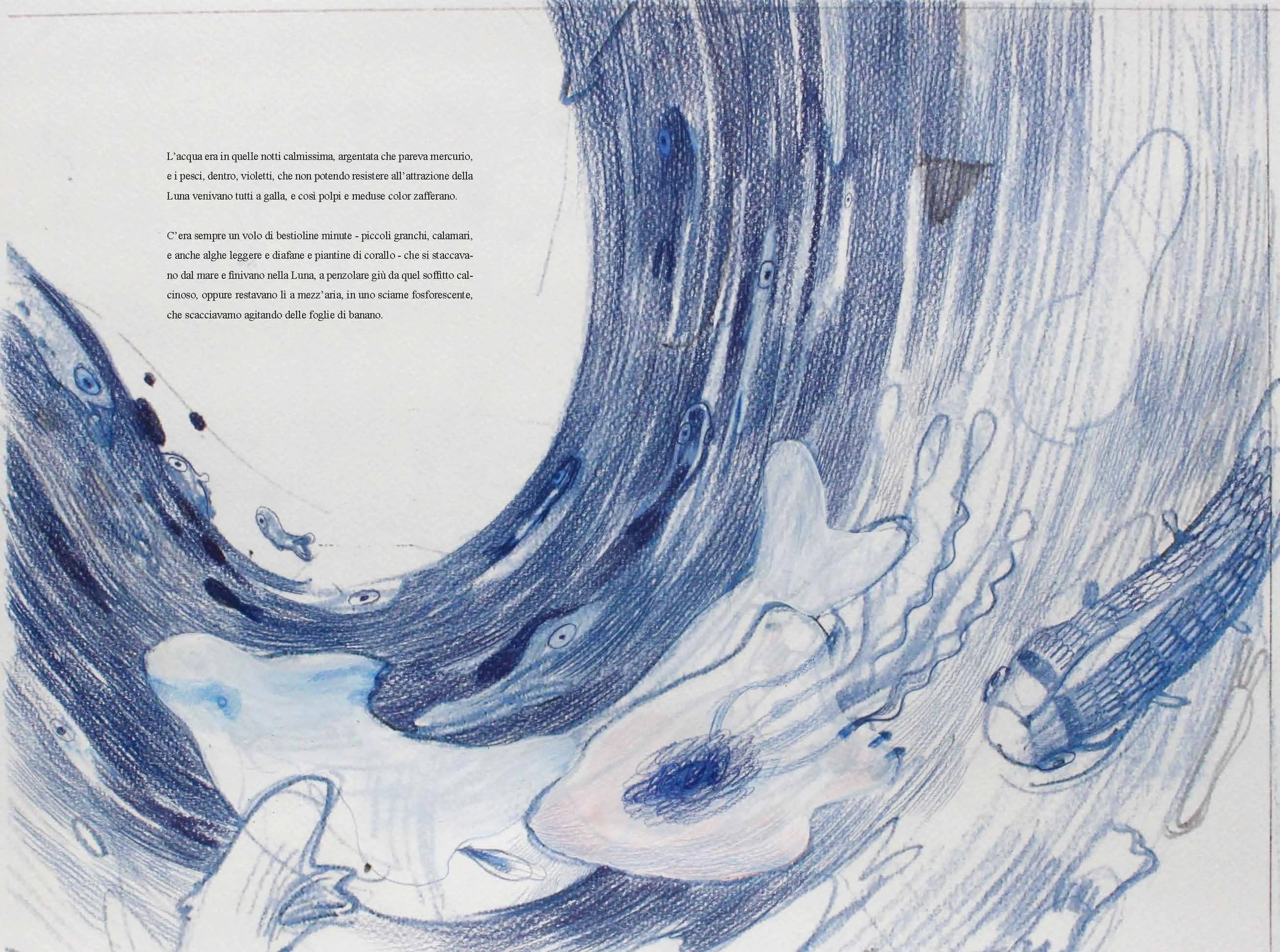 A blue ink drawing of a whale underwater, with fish swimming around it and an open mouth. There is Italian text on the left side of the image.