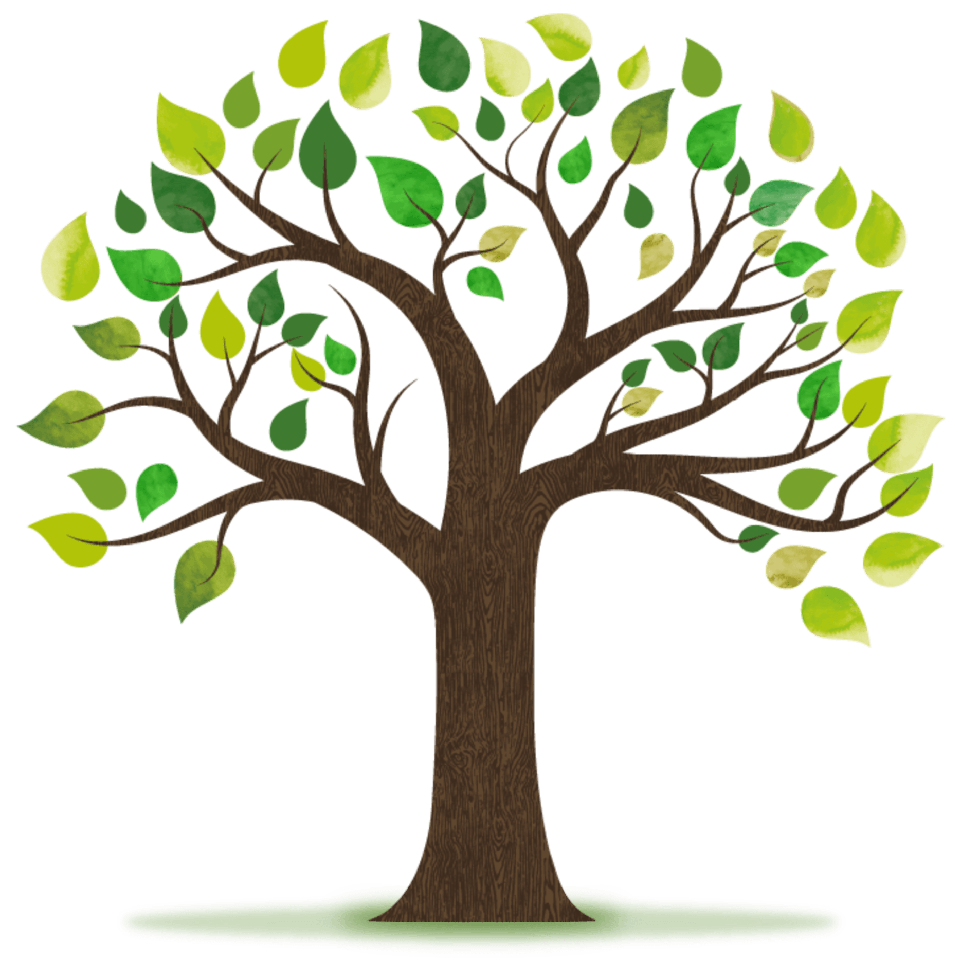 A stylized illustration of a tree with a brown trunk and branches, and green leaves against a transparent background.