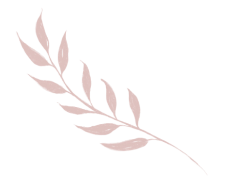 A pink illustrated leaf branch on a black background.
