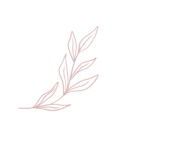 Stylized red botanical line drawing with the word 'home' underneath in black text.