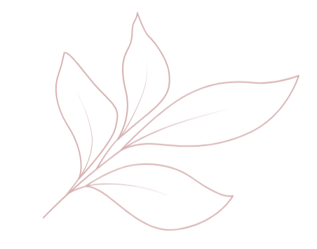 A simple red outline of a plant with multiple leaves.