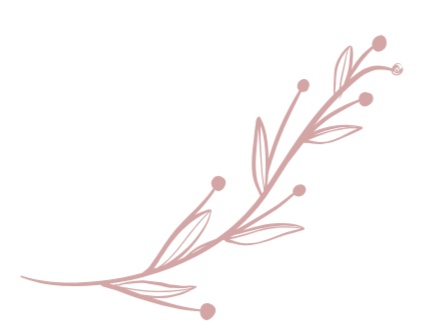 A simple red line drawing of a sprig with small leaves and round buds or berries.