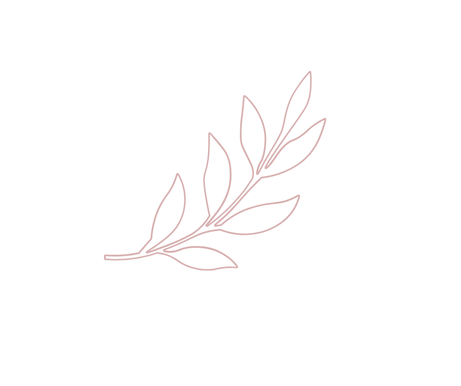 Outline drawing of a branch with multiple elongated leaves.