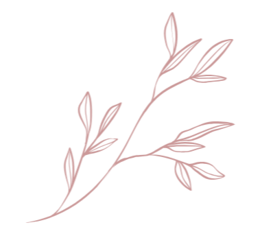 A simple illustration of a red leafy branch on a transparent background.