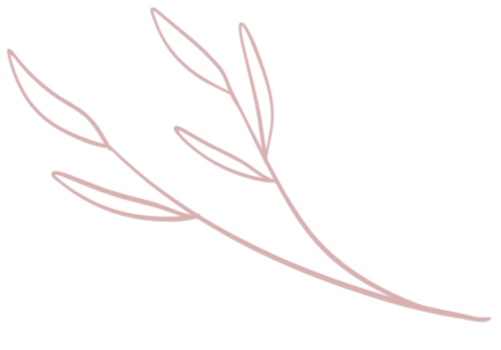 A simple line drawing of a branch with leaves.
