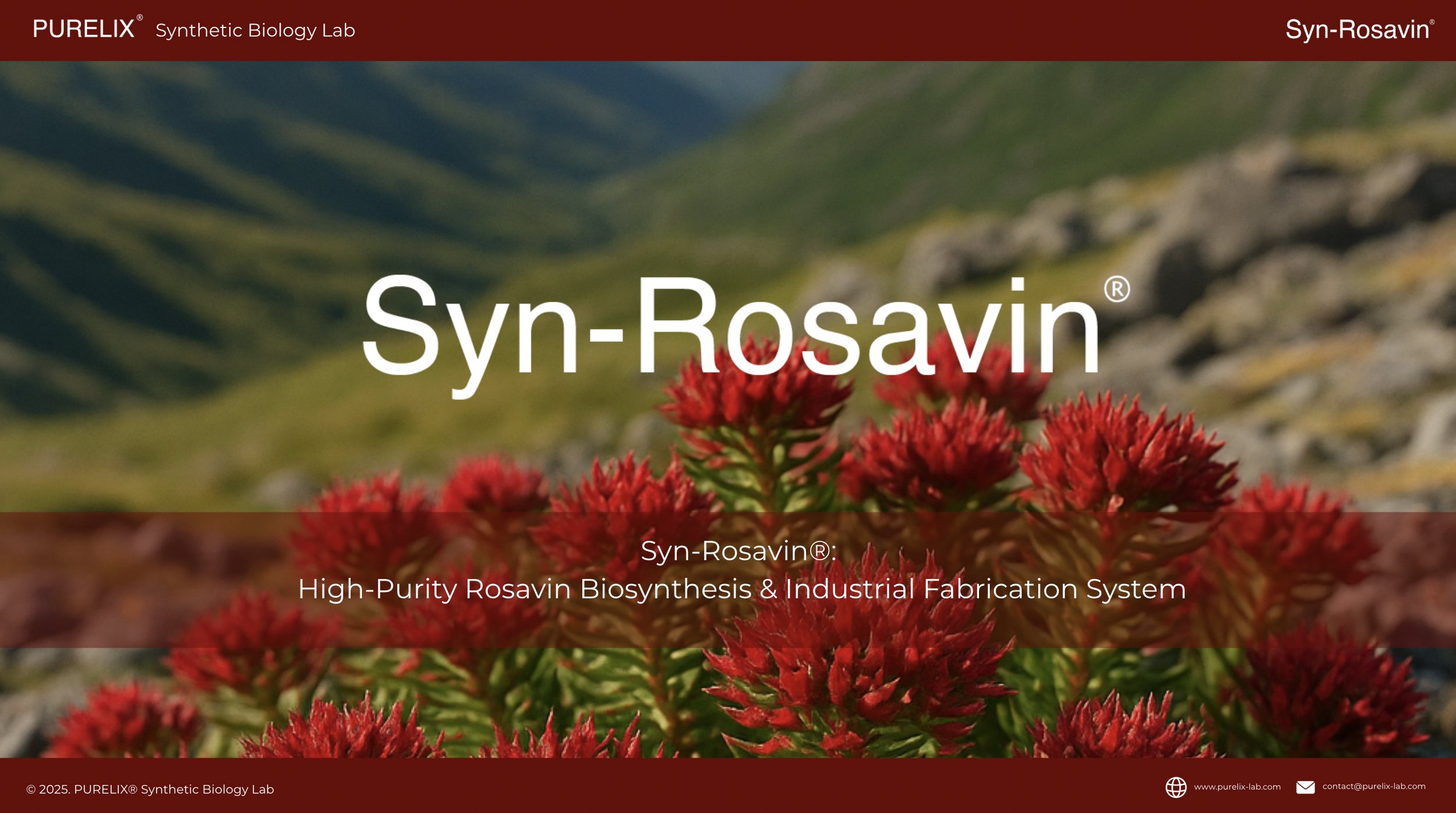 Close-up of red flowers with a mountain landscape background and text overlay promoting Syn-Rosavin, a high-purity rosavin biosynthesis and industrial fabrication system by PURELIX Synthetic Biology Lab.
