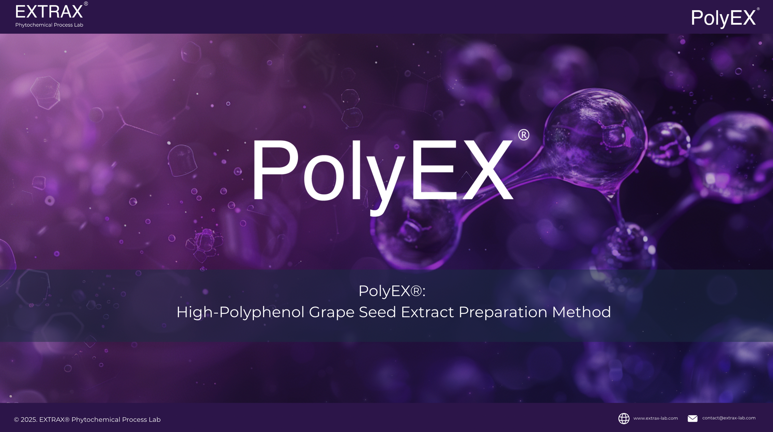Title slide of a presentation with a purple molecular background displaying the text 'PolyEX' and 'High-Polyphenol Grape Seed Extract Preparation Method.'