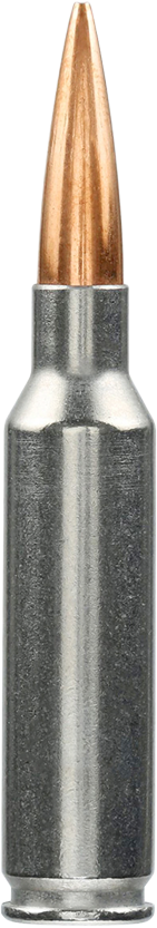 Close-up of a copper bullet seated in a metallic cartridge case.