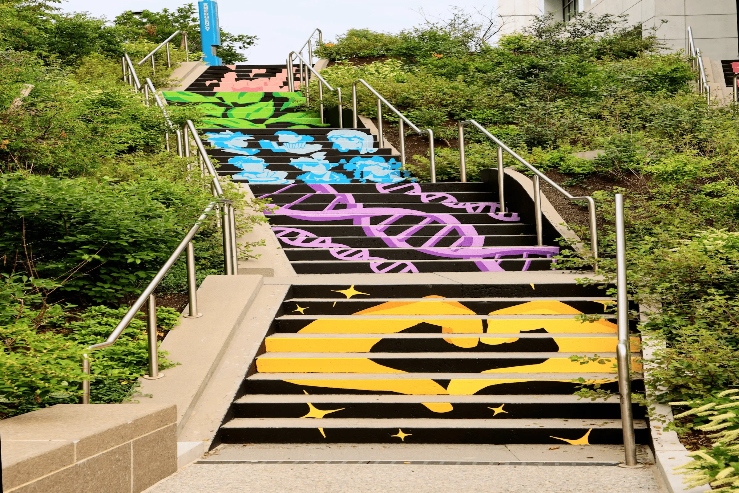  Michael Talbot &amp; Phoebe Warner,  Collective Ascension , 2023. Site-specific mural. Brian P. Murphy Memorial Staircase, Cambridge, MA. Project executed in collaboration with Community Art Center and facilitated by art_works for DivcoWest. © Micha
