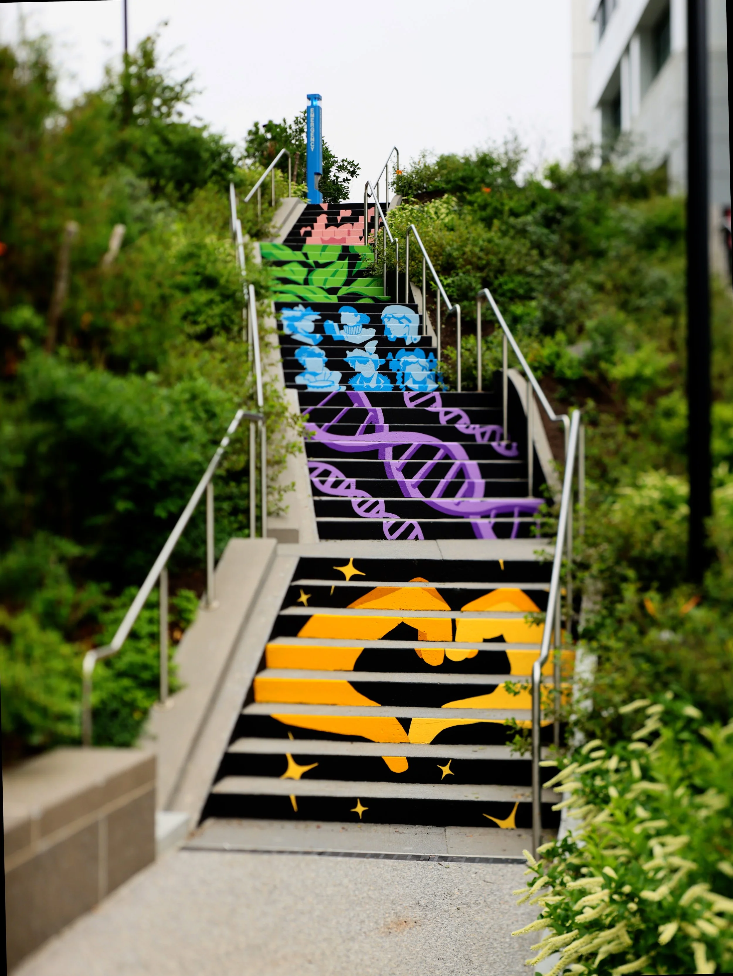  Michael Talbot &amp; Phoebe Warner,  Collective Ascension , 2023. Site-specific mural. Brian P. Murphy Memorial Staircase, Cambridge, MA. Project executed in collaboration with Community Art Center and facilitated by art_works for DivcoWest. © Micha