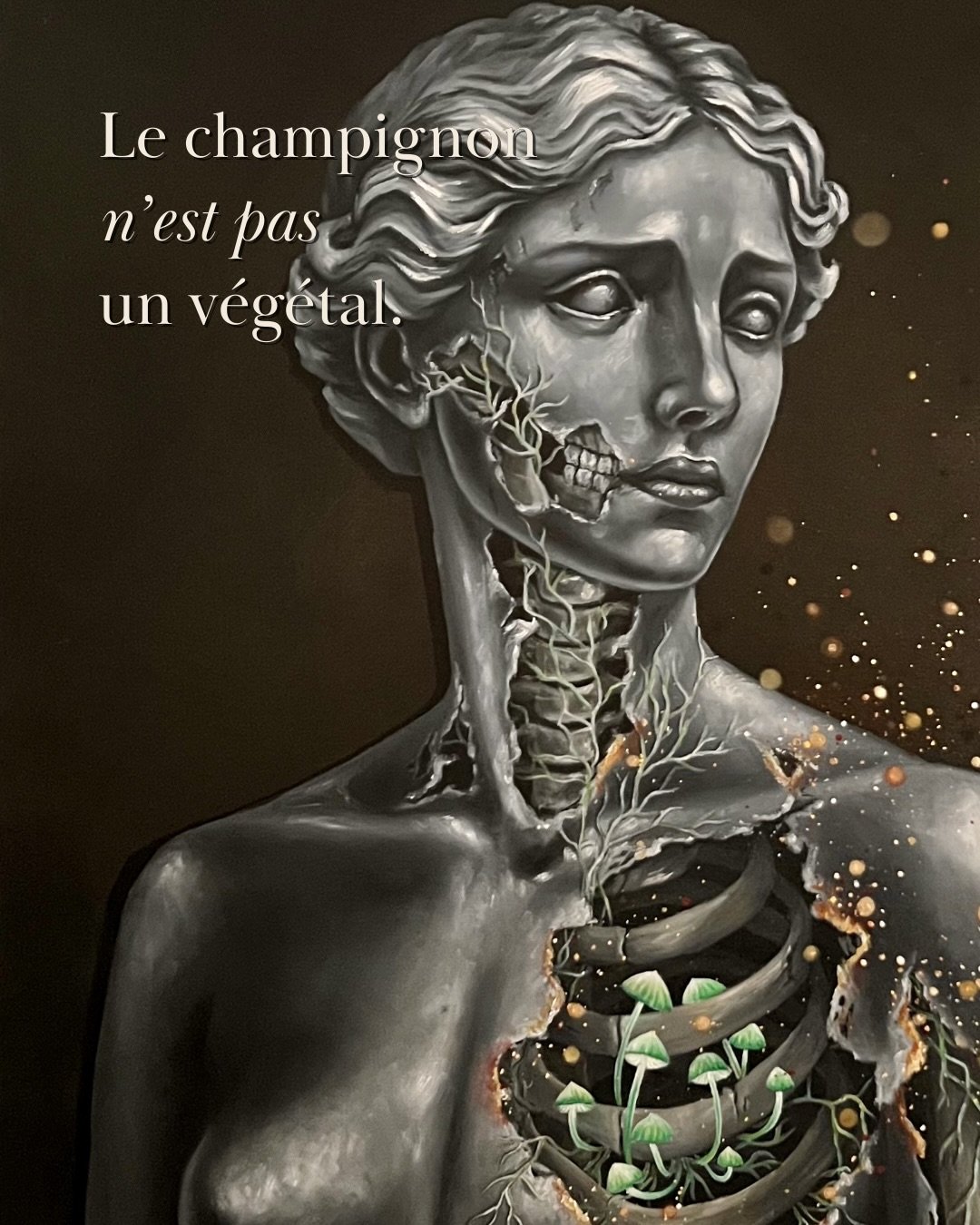 Ce que nous appelons &ldquo;𝑣𝑖𝑠𝑖𝑏𝑙𝑒&rdquo;, n&rsquo;est peut-&ecirc;tre qu&rsquo;une infime partie du r&eacute;el.

Et si nos certitudes n&rsquo;&eacute;taient qu&rsquo;un fragment de ce que nous appelons r&eacute;alit&eacute; ?

#mushroomspai