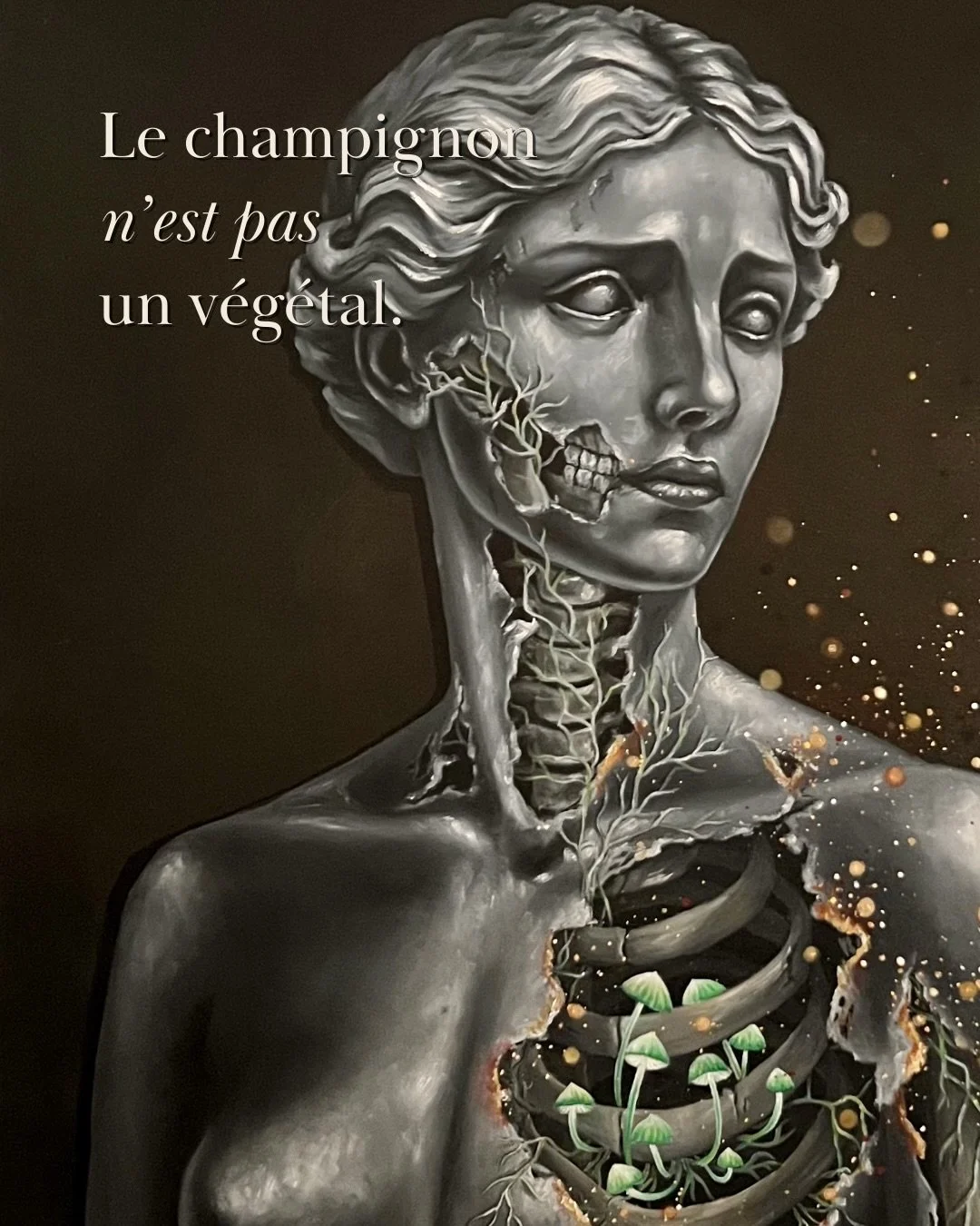 Ce que nous appelons &ldquo;𝑣𝑖𝑠𝑖𝑏𝑙𝑒&rdquo;, n&rsquo;est peut-&ecirc;tre qu&rsquo;une infime partie du r&eacute;el.

Et si nos certitudes n&rsquo;&eacute;taient qu&rsquo;un fragment de ce que nous appelons r&eacute;alit&eacute; ?

#mushroomspai