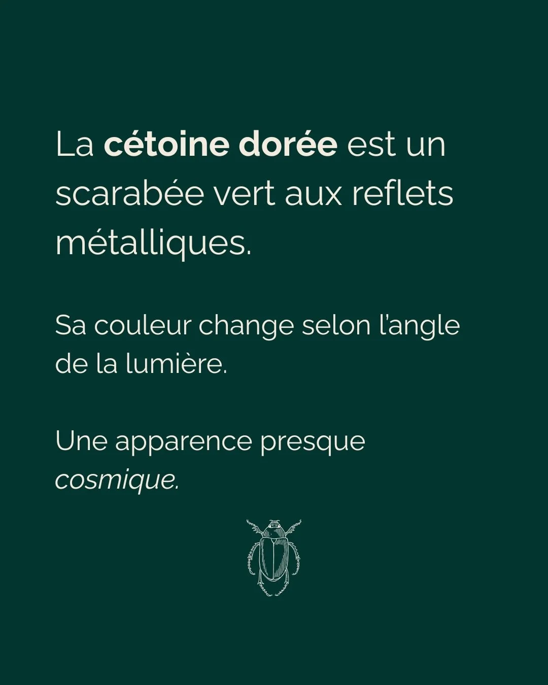 J&rsquo;ai eu l&rsquo;intuition de peindre un scarab&eacute;e.

Le lendemain, un scarab&eacute;e est apparu dans mon salon.

Ce type de co&iuml;ncidence a &eacute;t&eacute; d&eacute;crit par Carl Gustave Jung qui appelait cela une 𝘀𝘆𝗻𝗰𝗵𝗿𝗼𝗻𝗶?