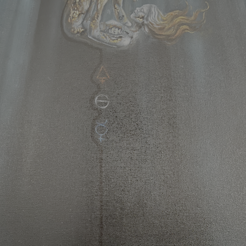 III. Fermentation - Oeuvre originale - Vanessa Ben Amor 5.png