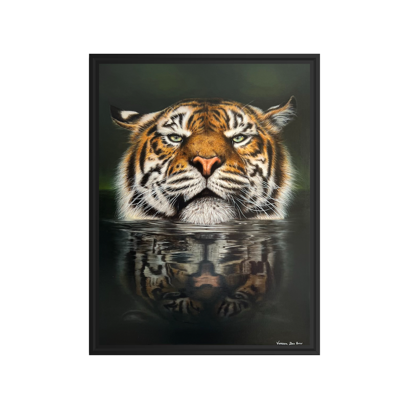 Le tigre caisse us noire.PNG