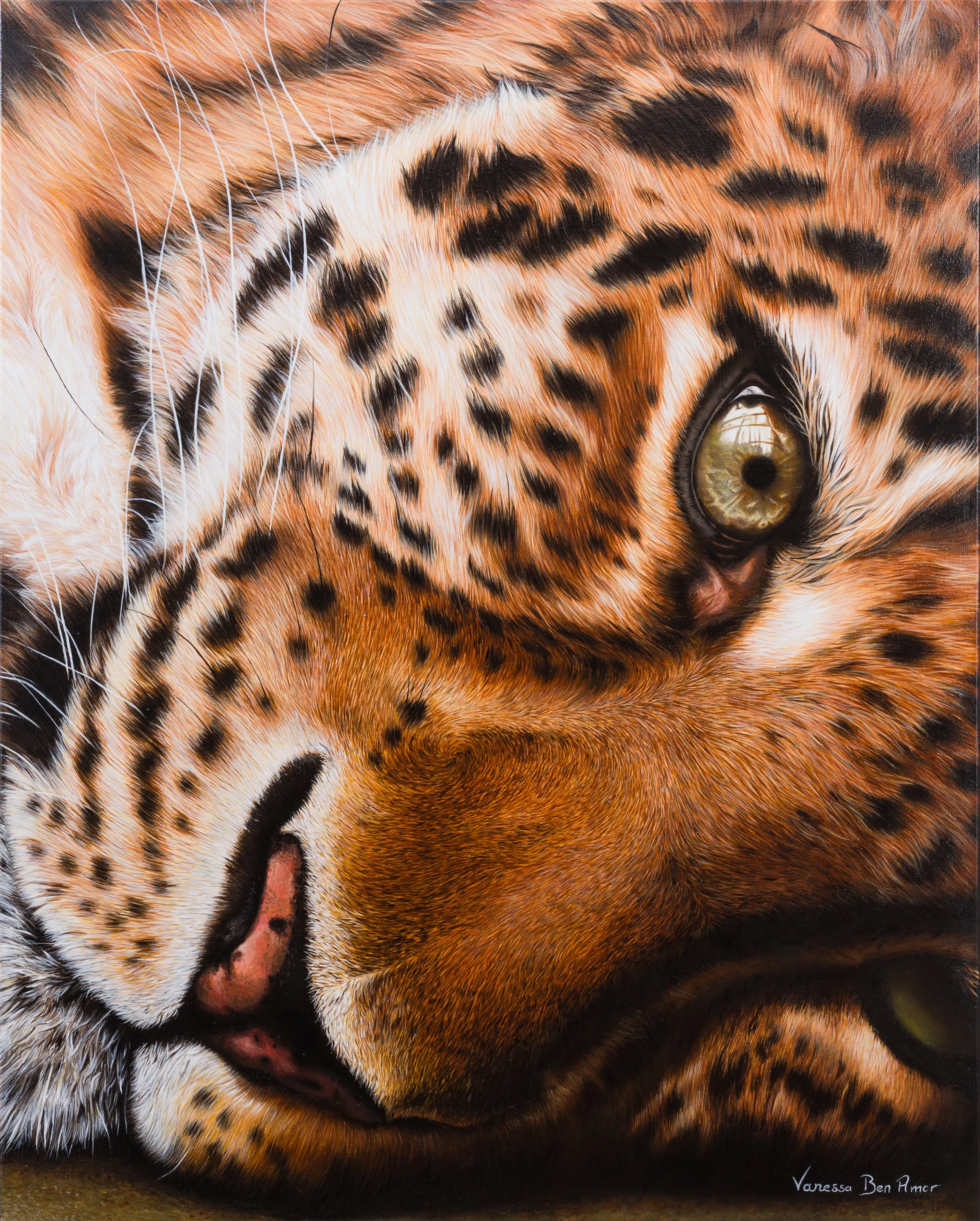 Le léopard | Édition d'art