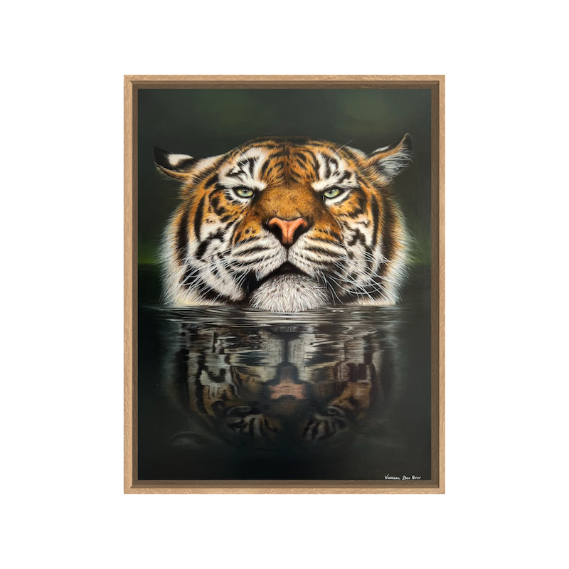 Le tigre caisse us bois.PNG