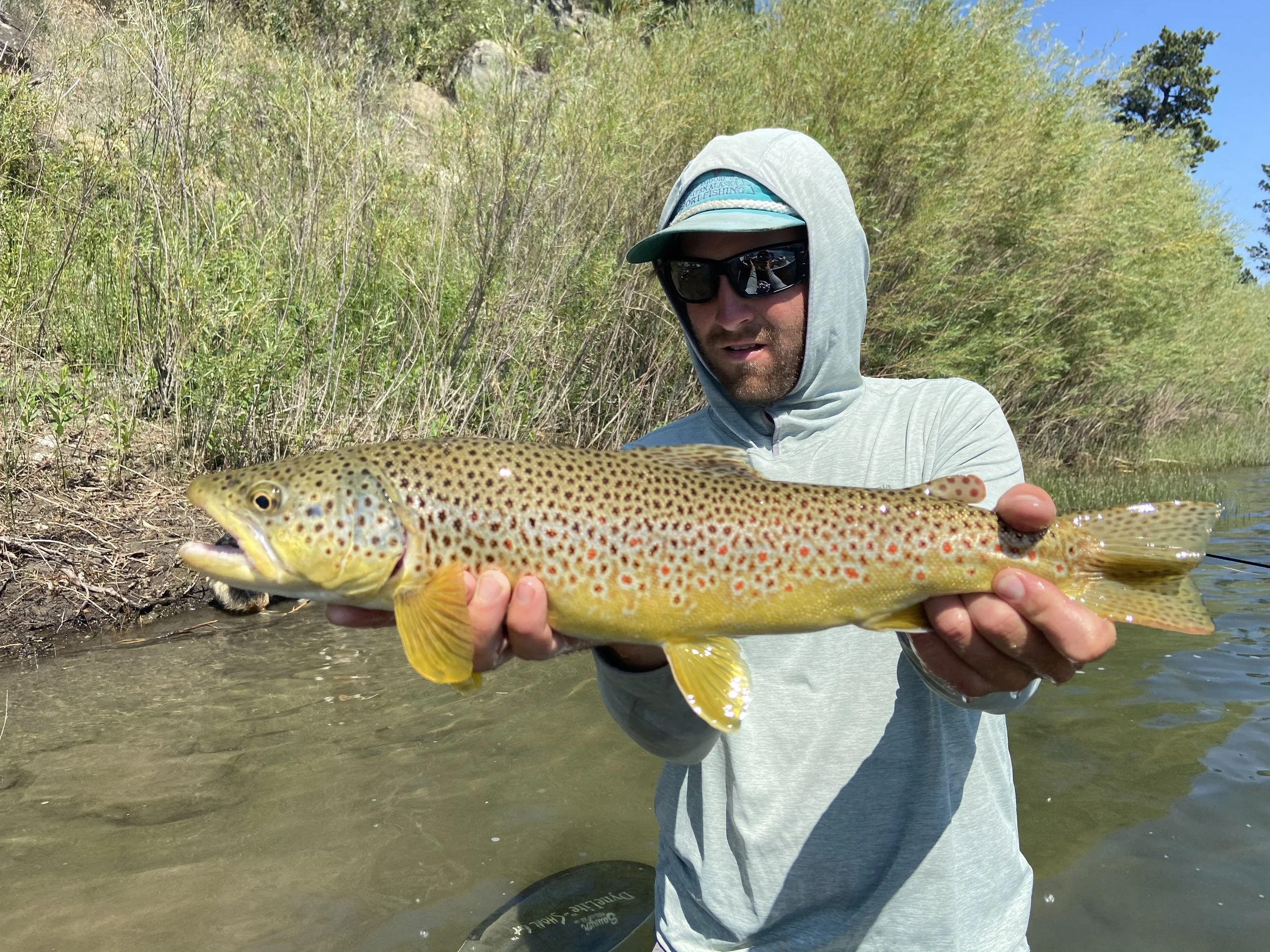Man wearing a hooded shirt, sunglasses, and a hat, holding a large rainbow trout fish with colorful spots near a riverbank with green bushes and blue sky.