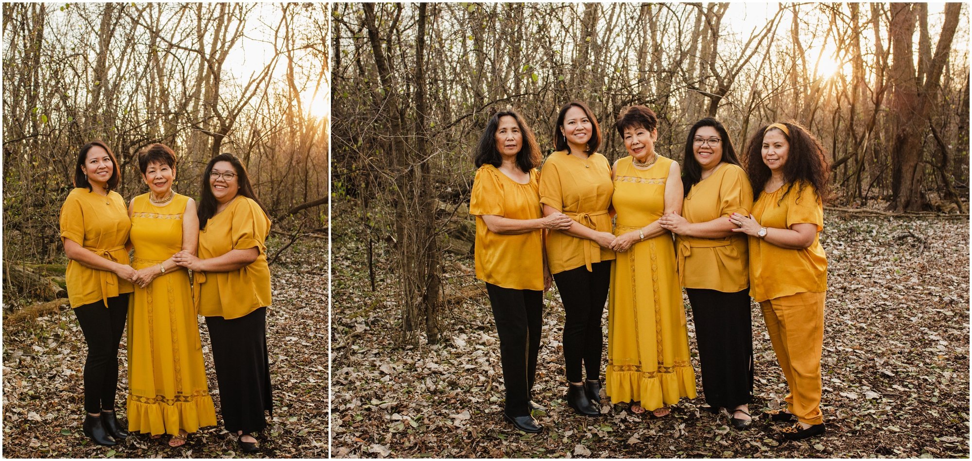 addison illinois 50 year anniversary family photoshoot_0005.jpg