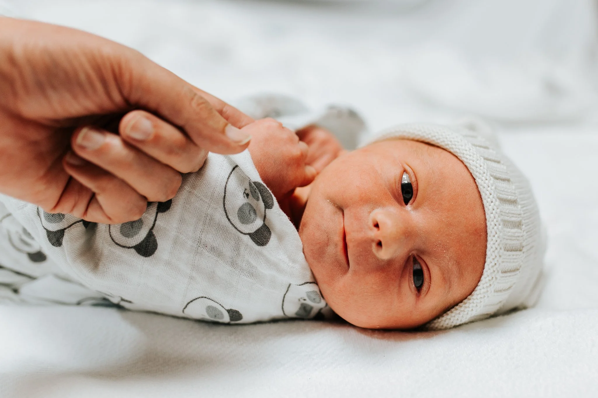 Grayson-Fresh-48-Session-Naperville-2.jpg