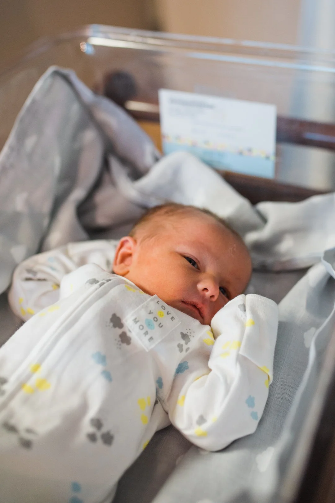 Nicholas // Fresh 48 Wheaton, IL